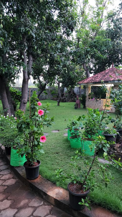 Garden with hibiscus and the gazebo